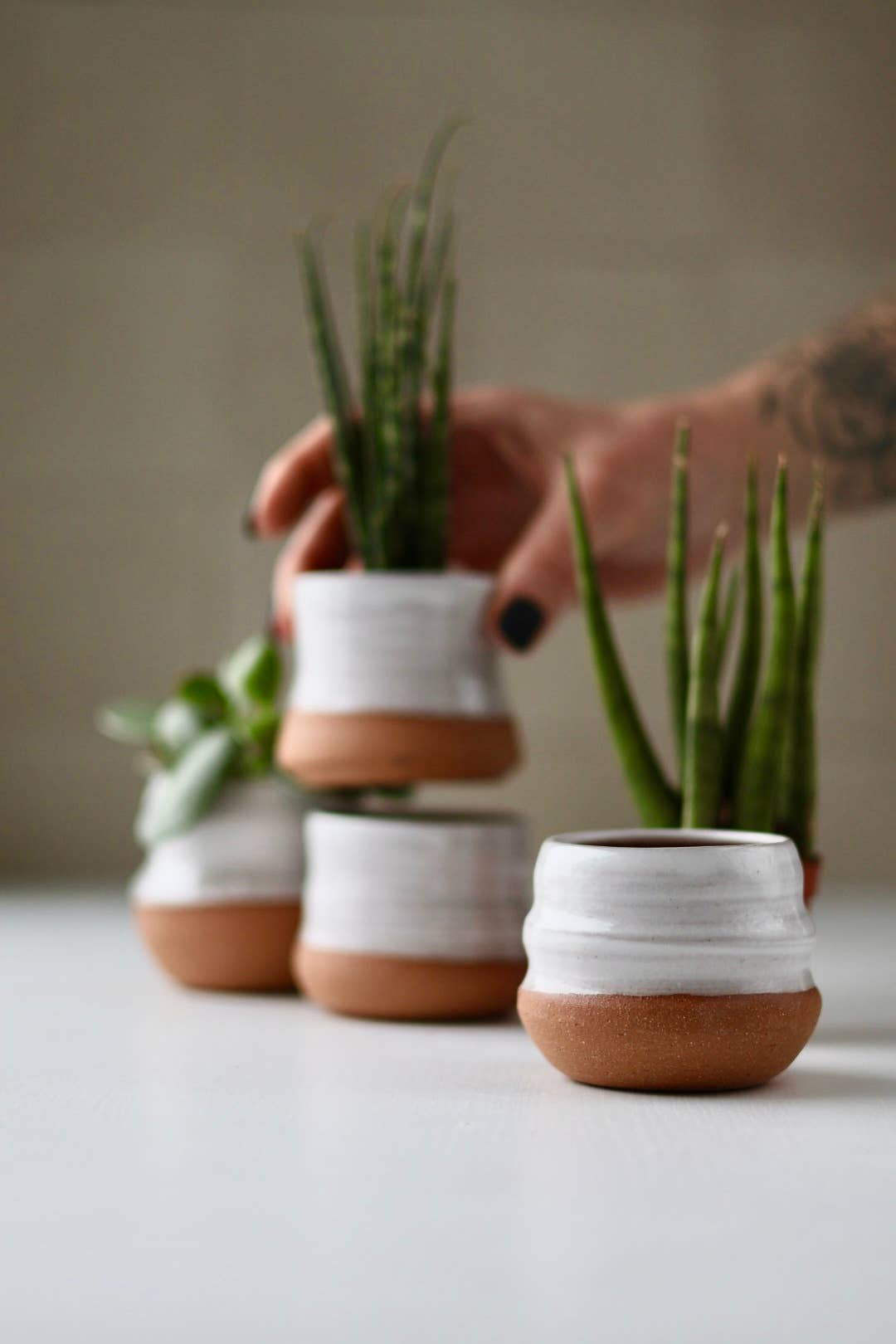 Assorted Small Planter Pots | White 2 inch handmade