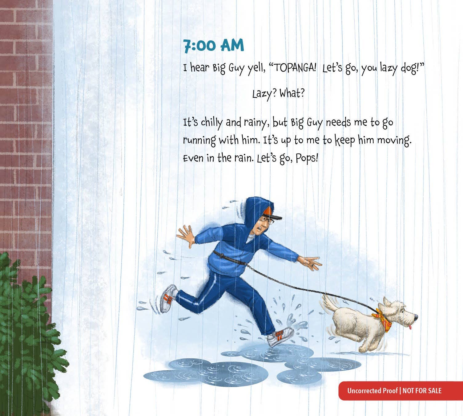 Memoirs of a Dog Picture Book