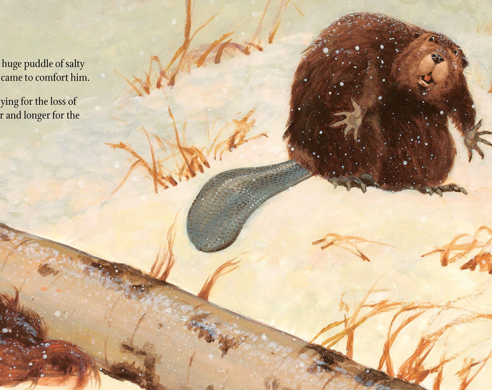 The Legend of the Beaver's Tail Picture Book