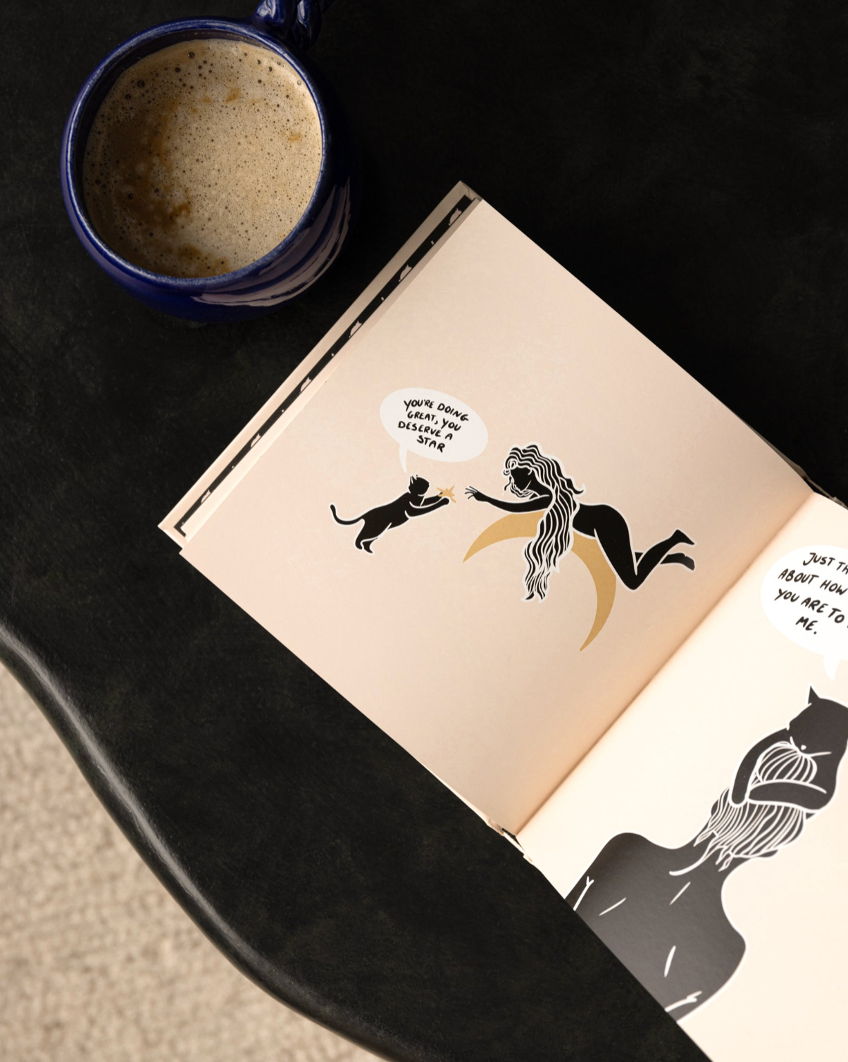 Conversations With My Cat - illustrated book