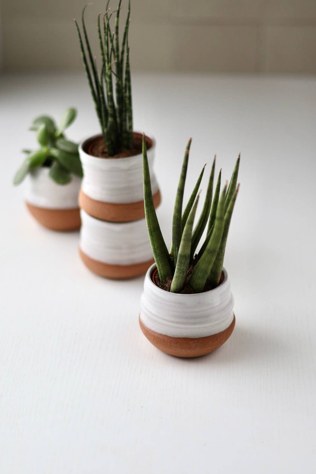 Assorted Small Planter Pots | White 2 inch handmade