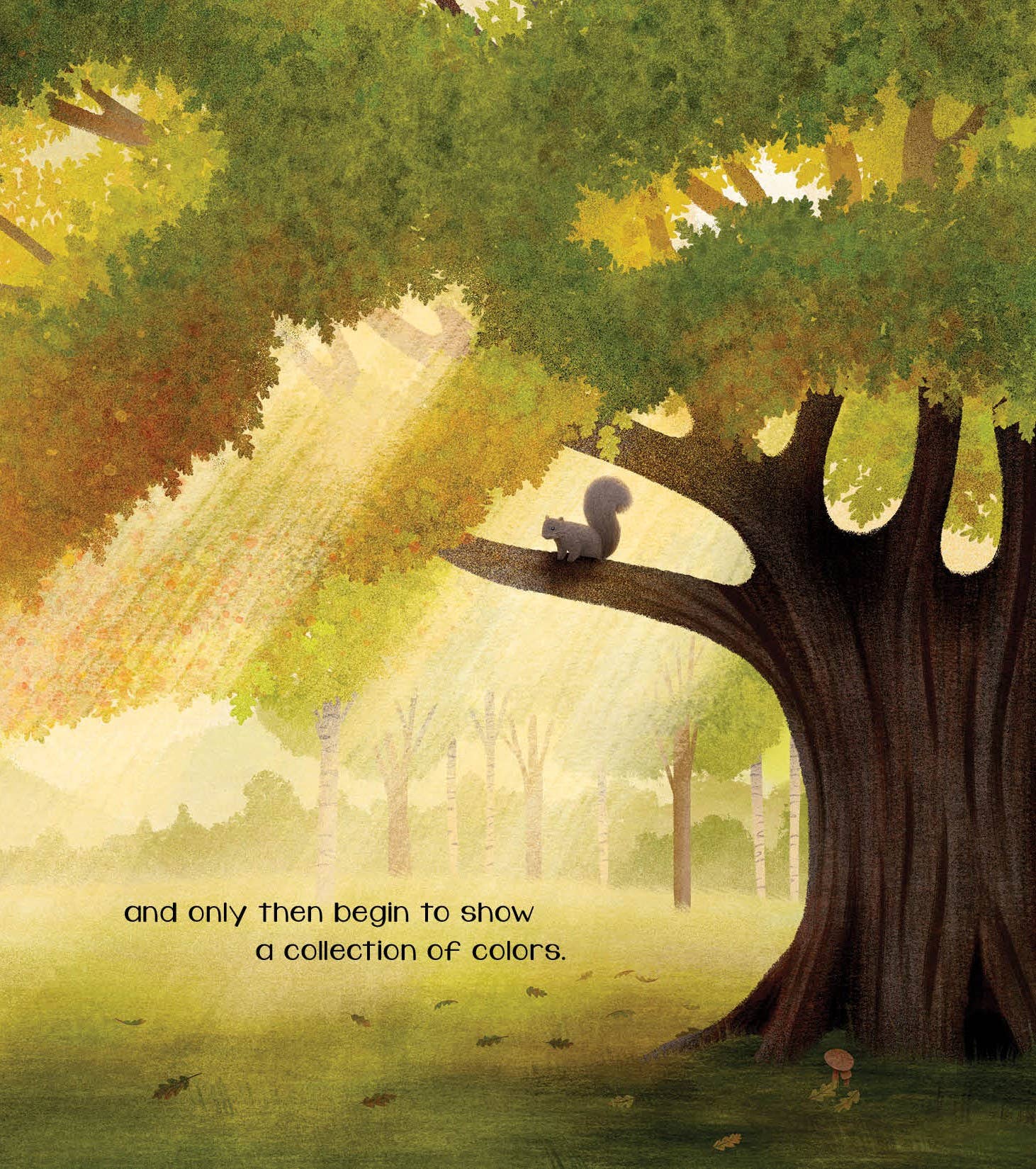 The Secret of Fall Picture Book