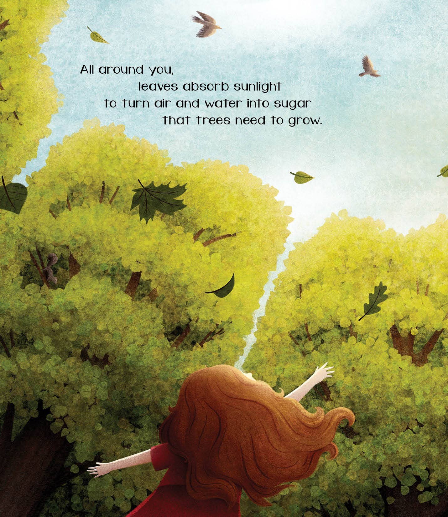 The Secret of Fall Picture Book