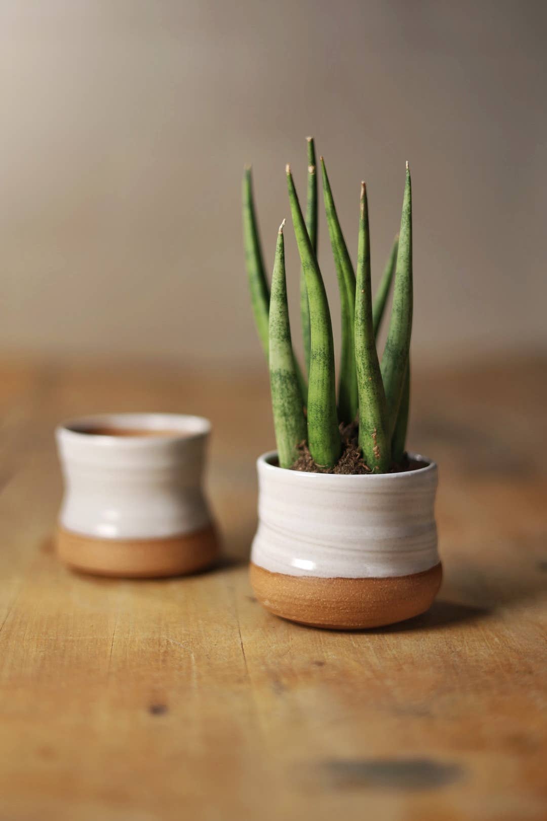 Assorted Small Planter Pots | White 2 inch handmade