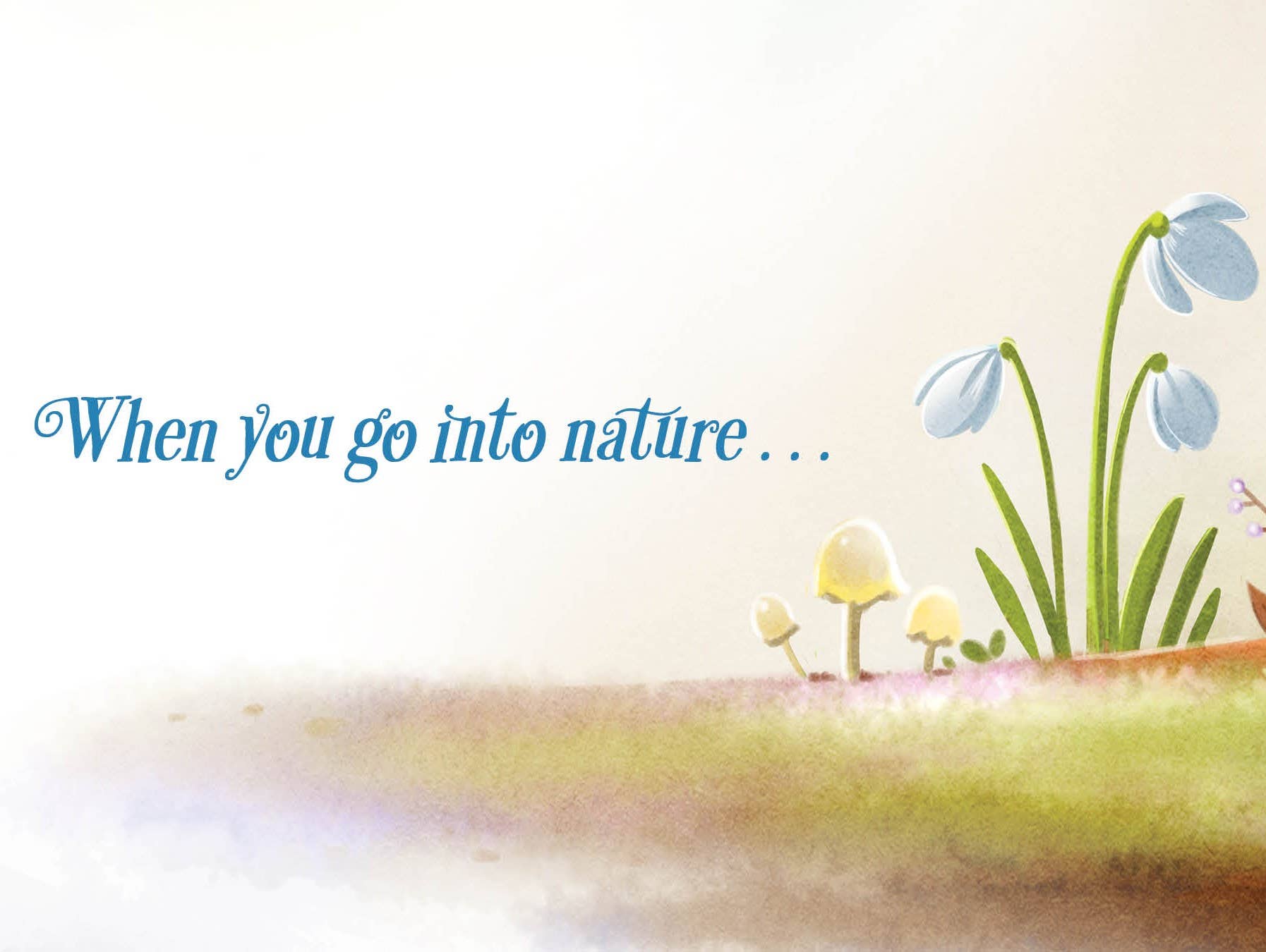When You Go Into Nature Picture Book