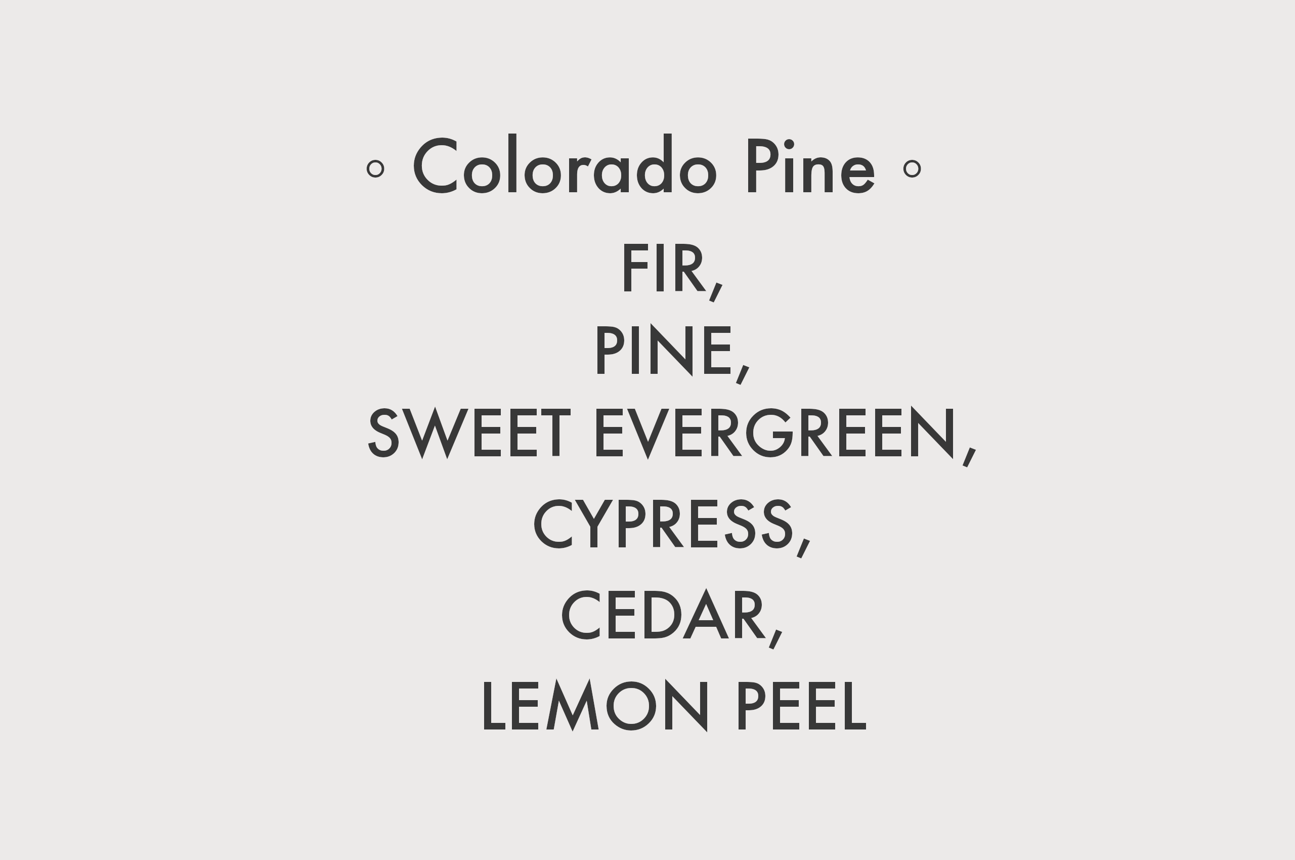 Colorado Pine - 8 oz Soy Candle