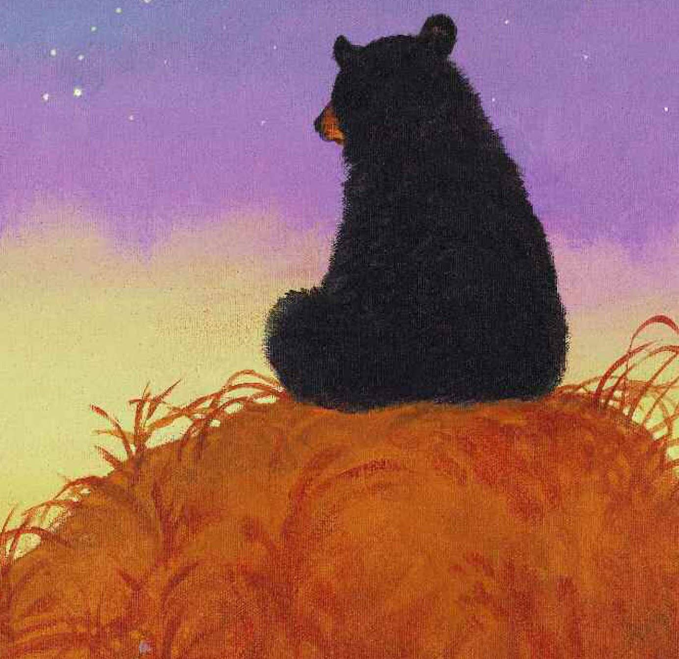 The Legend of Sleeping Bear Picture Book