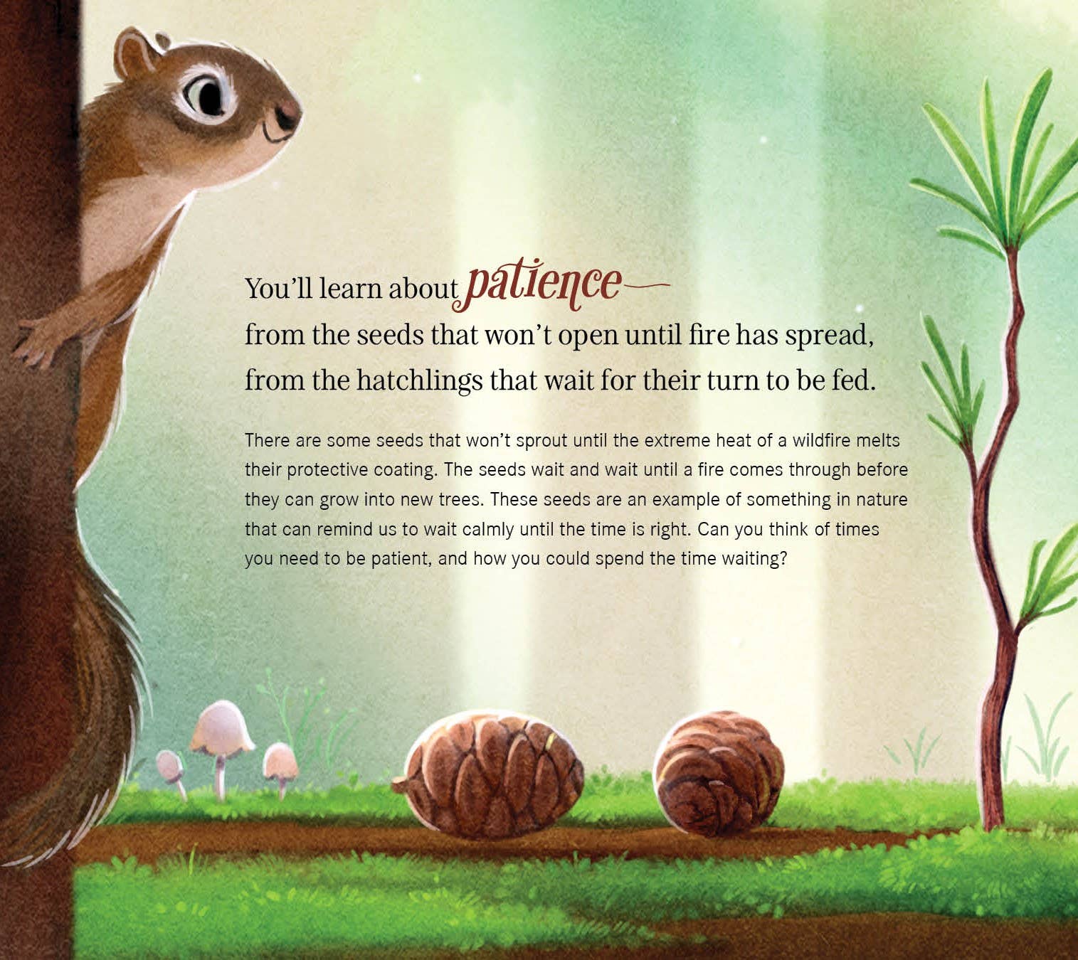 When You Go Into Nature Picture Book