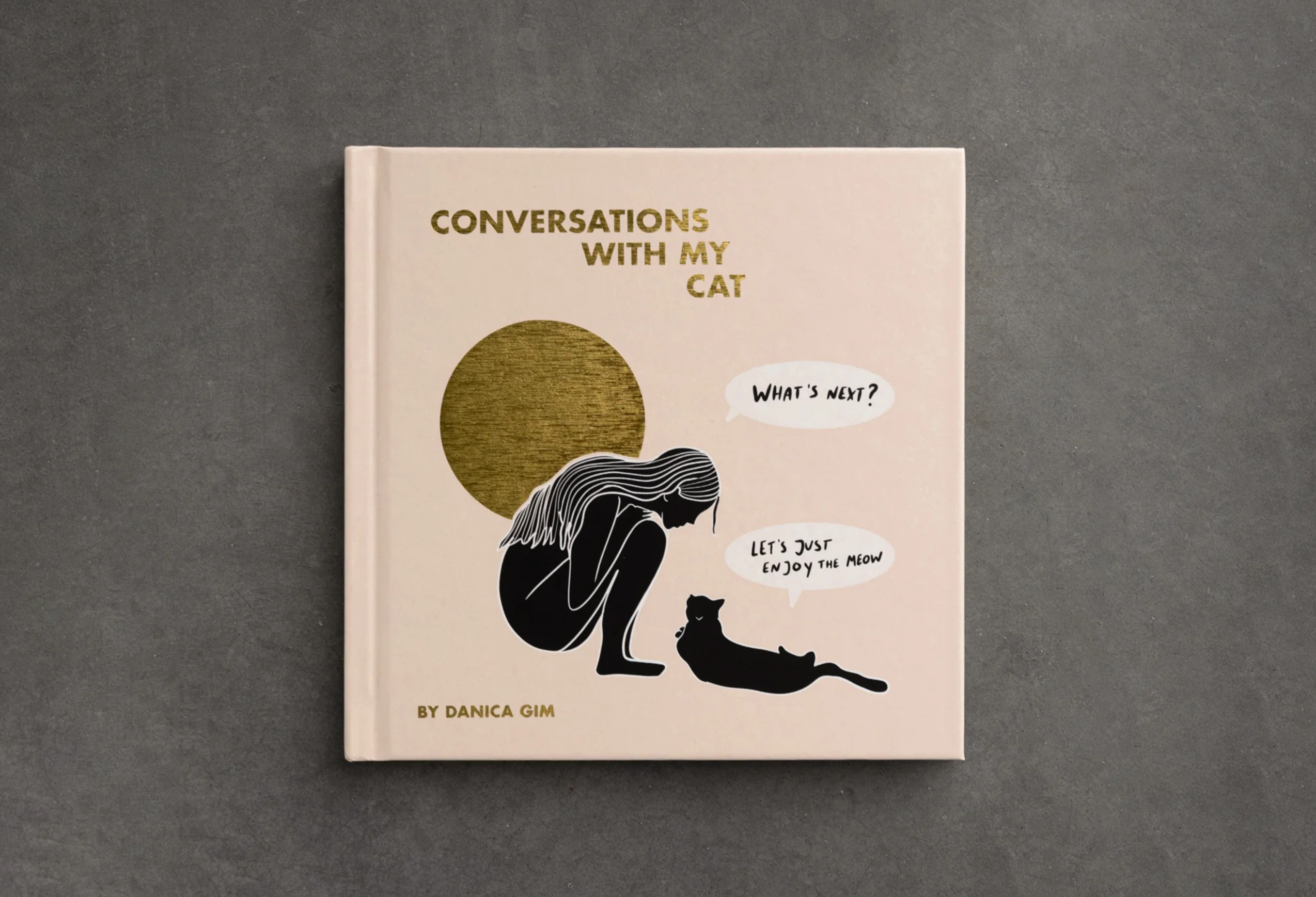 Conversations With My Cat - illustrated book