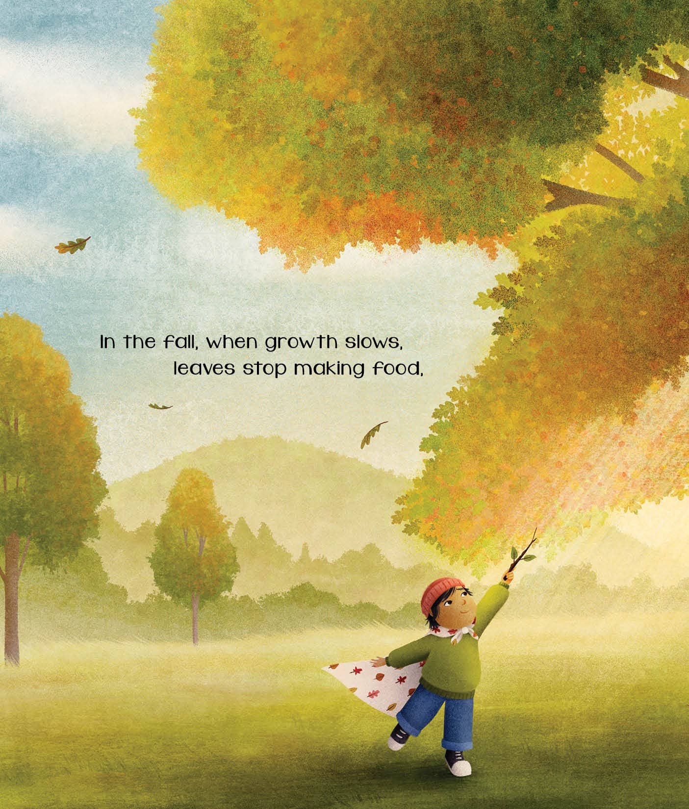 The Secret of Fall Picture Book