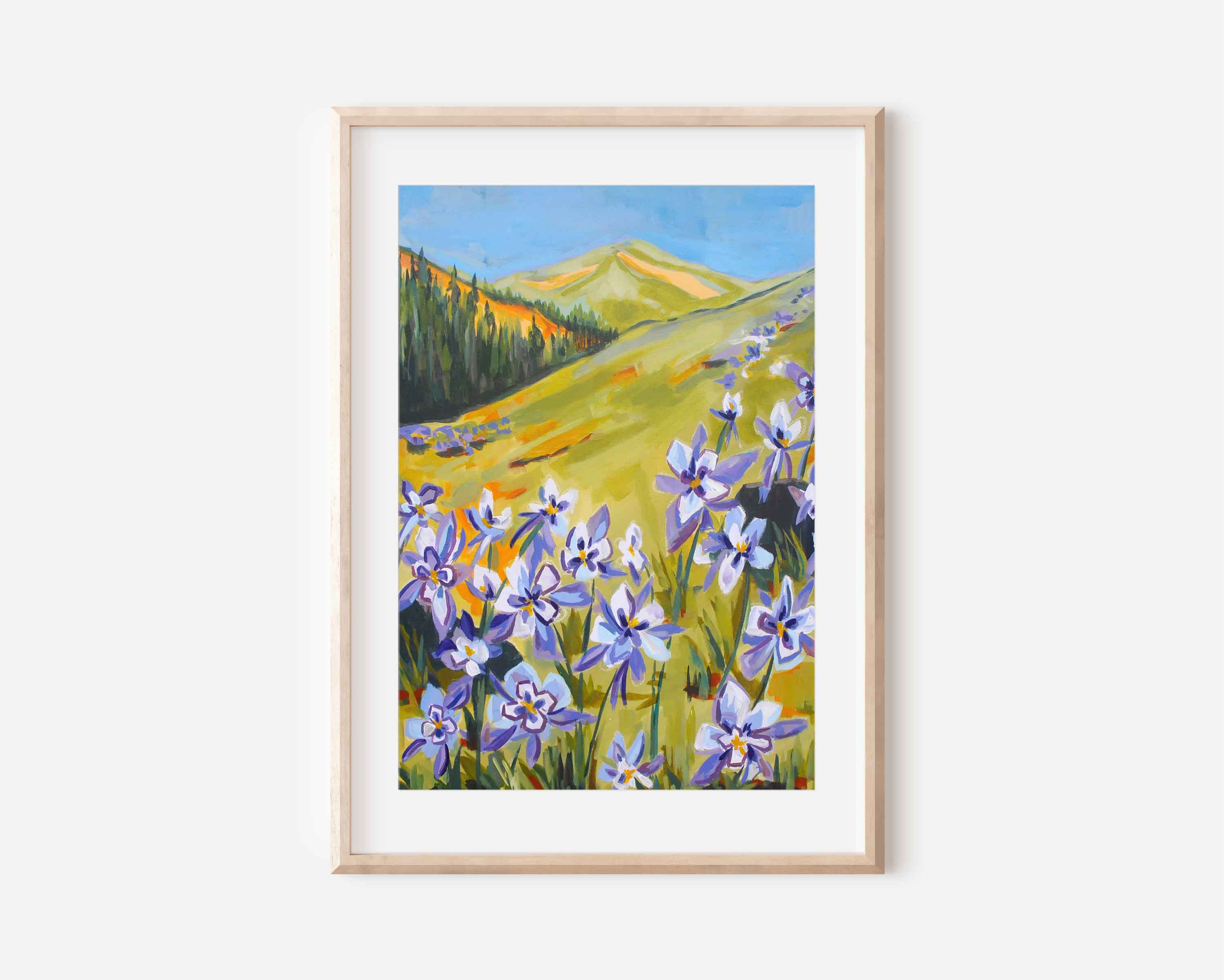 Columbine Meadows 11"x14" Art Print
