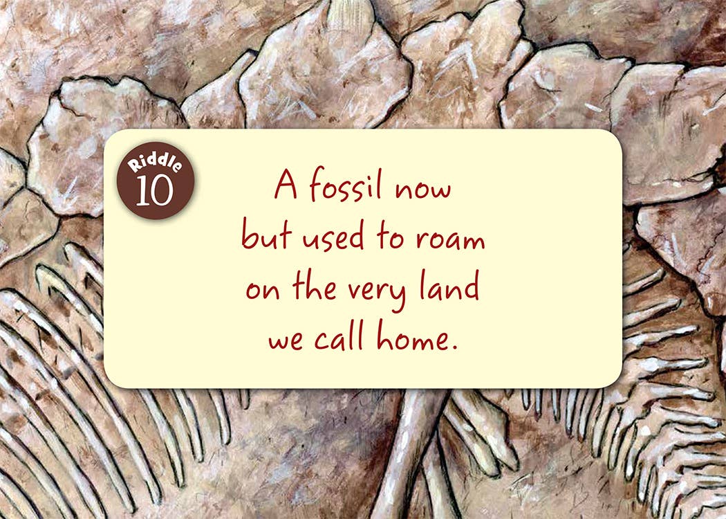 Little Colorado Board Book