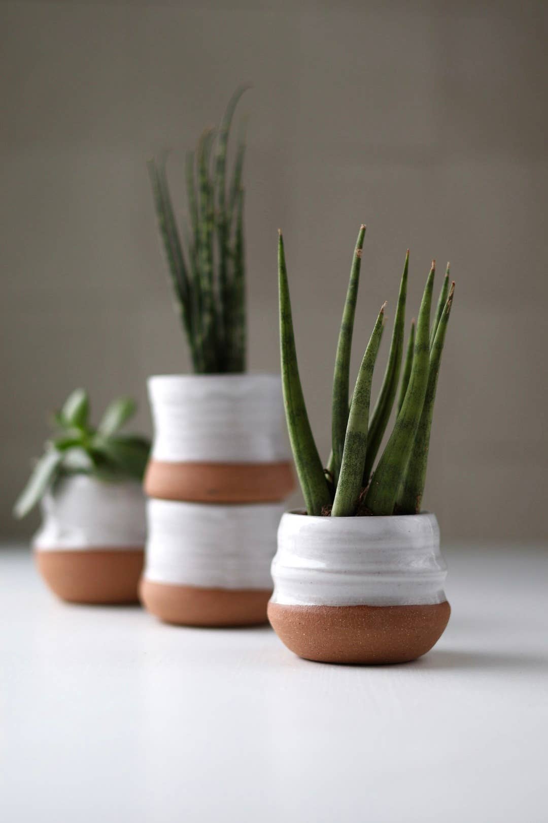 Assorted Small Planter Pots | White 2 inch handmade