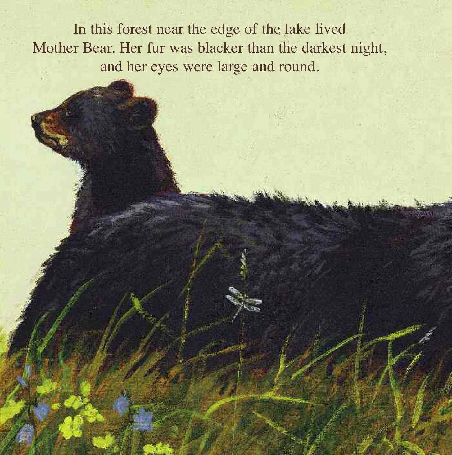 The Legend of Sleeping Bear Picture Book