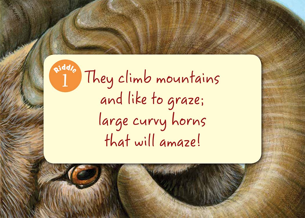 Little Colorado Board Book