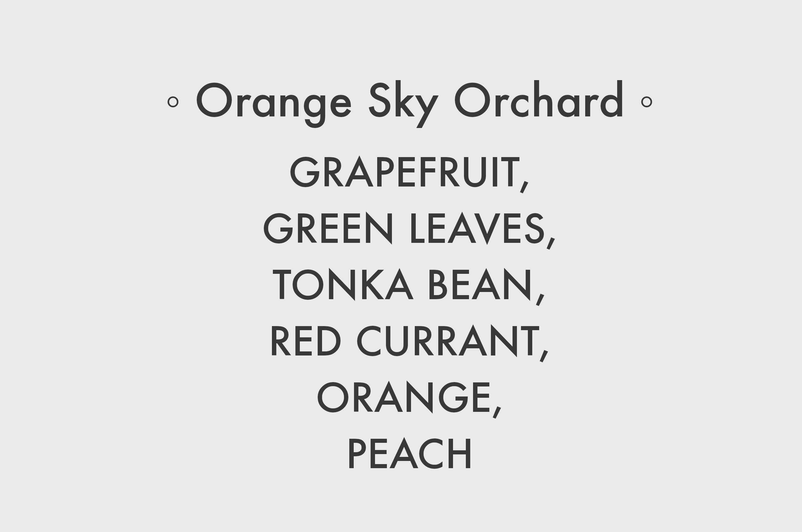 Orange Sky Orchard - 8 oz Soy Candle