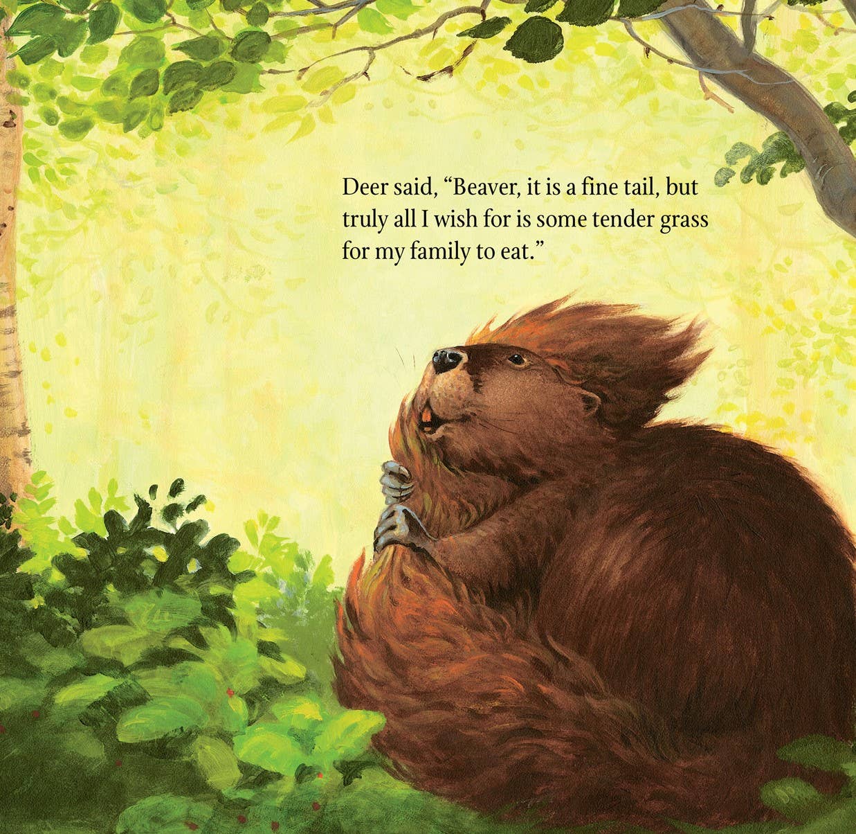 The Legend of the Beaver's Tail Picture Book