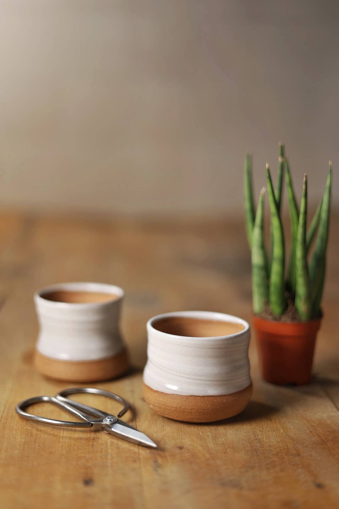 Assorted Small Planter Pots | White 2 inch handmade