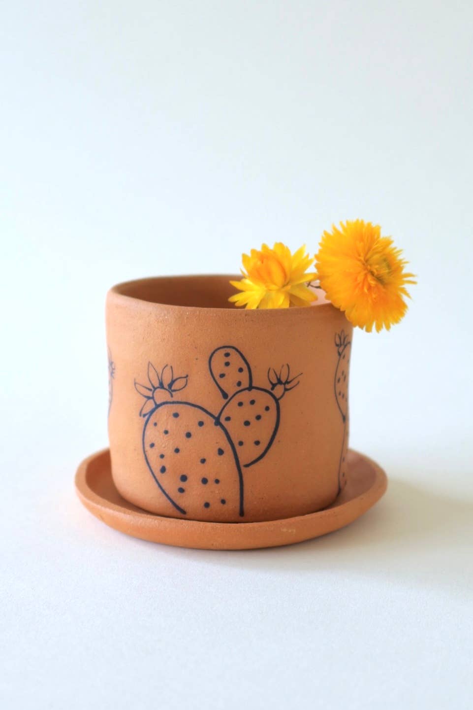 Opuntia Planter
