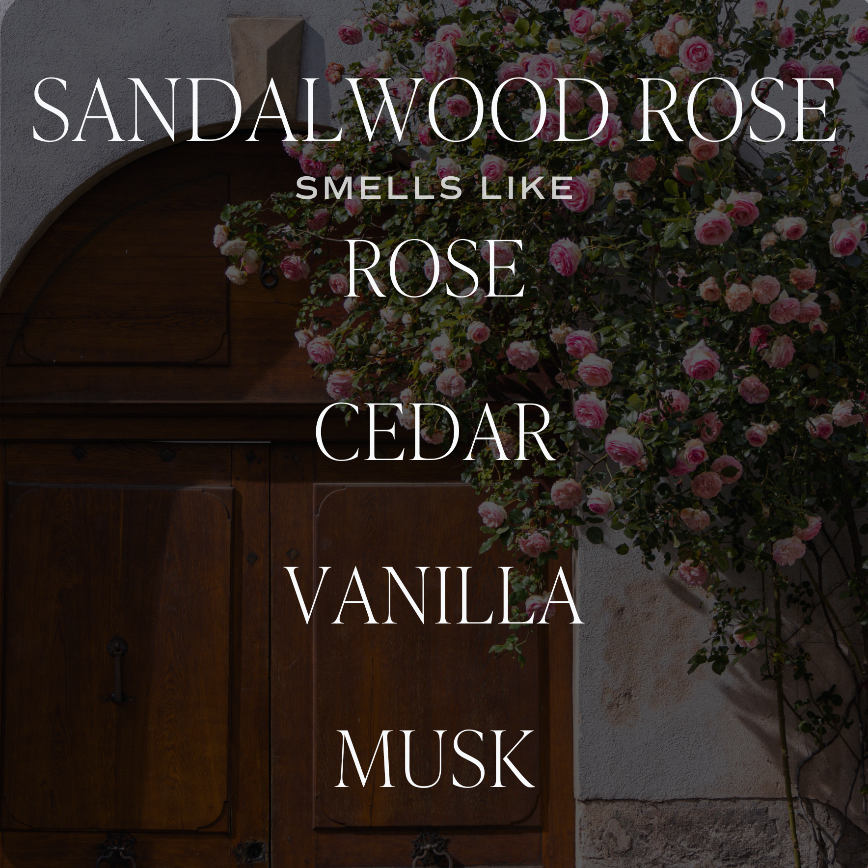 Sandalwood Rose Reed Diffuser - Gift & Home Decor