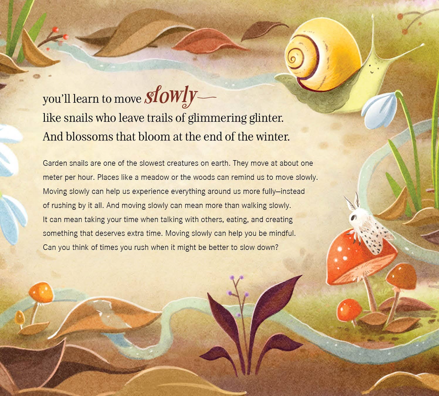 When You Go Into Nature Picture Book