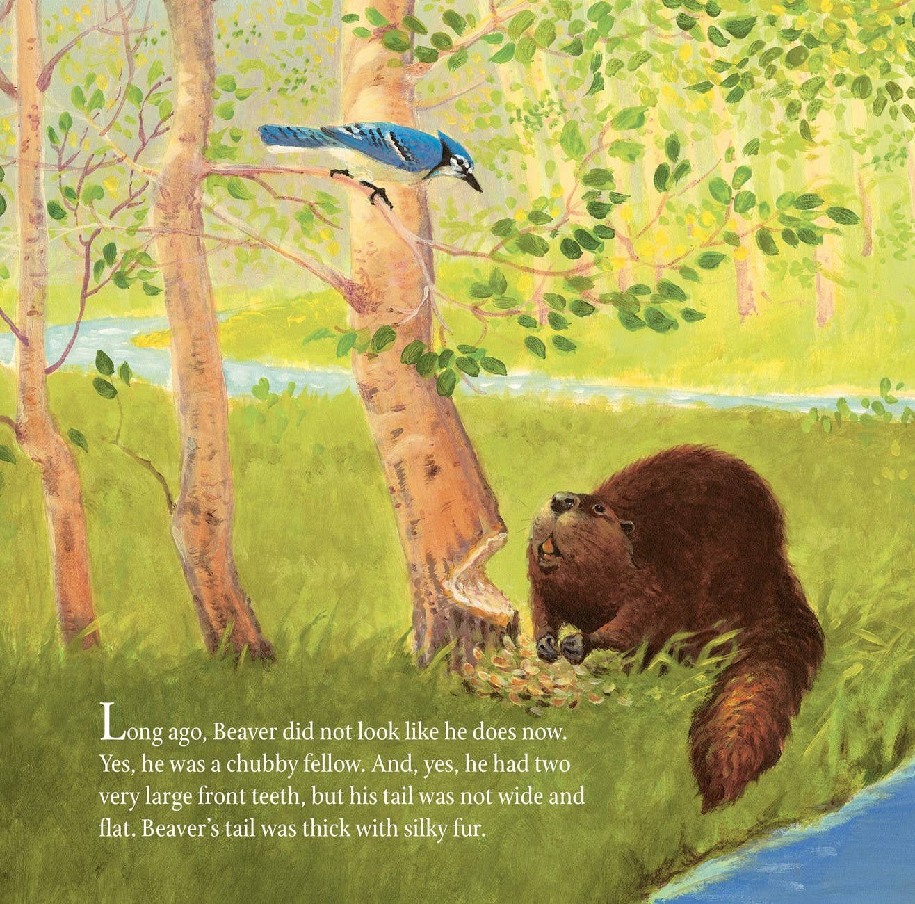 The Legend of the Beaver's Tail Picture Book