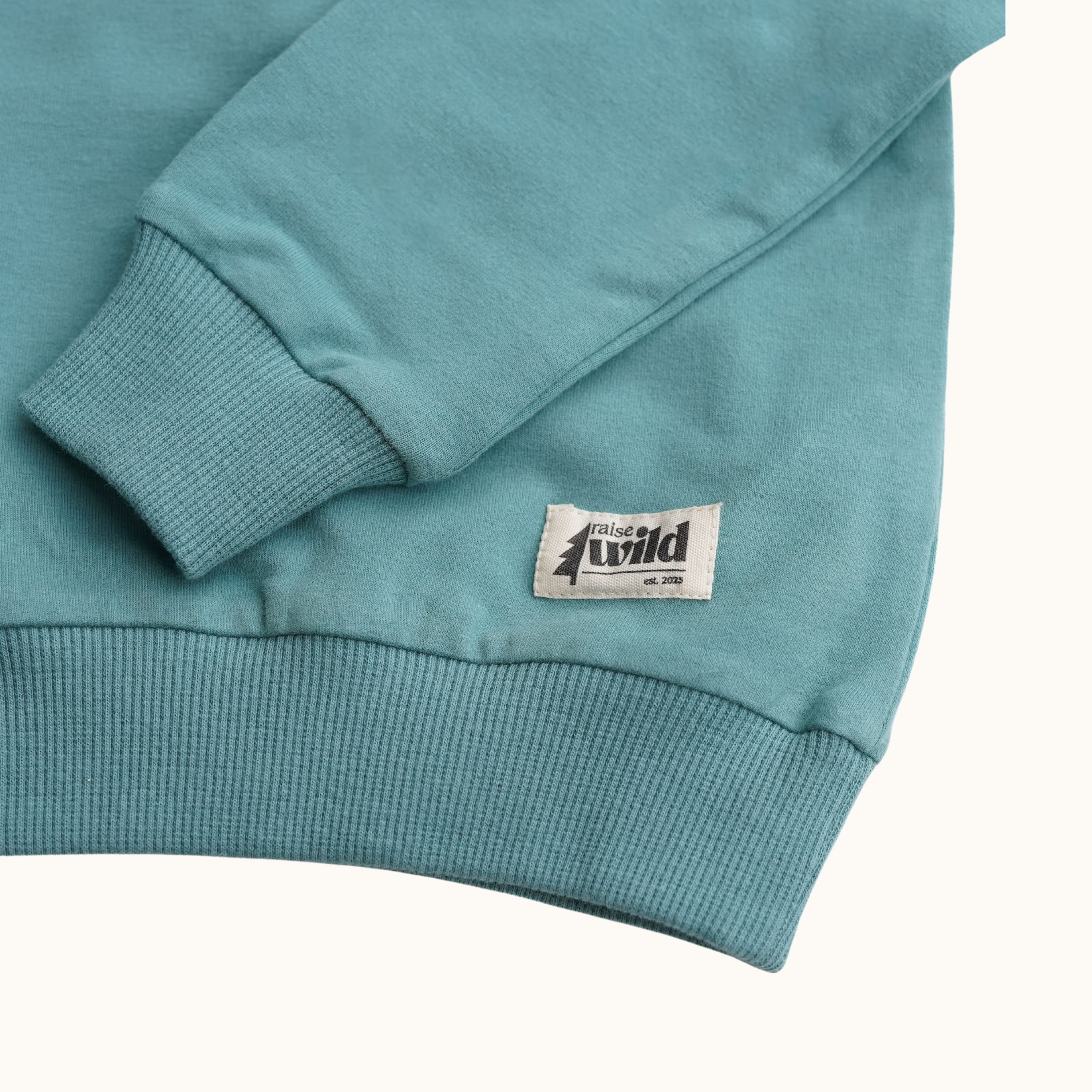 Kid's Organic Pullover - Teal - Tiny Biker