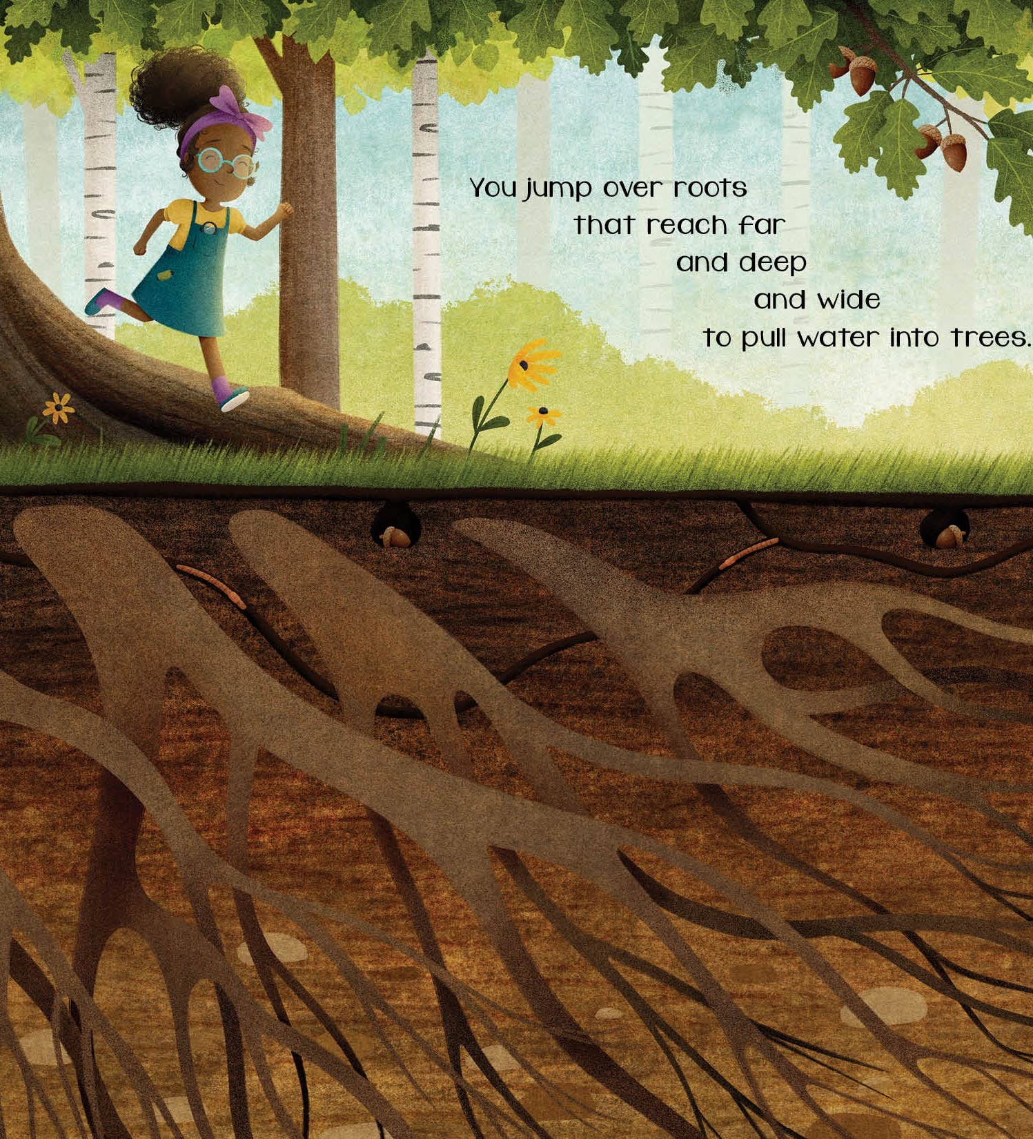 The Secret of Fall Picture Book