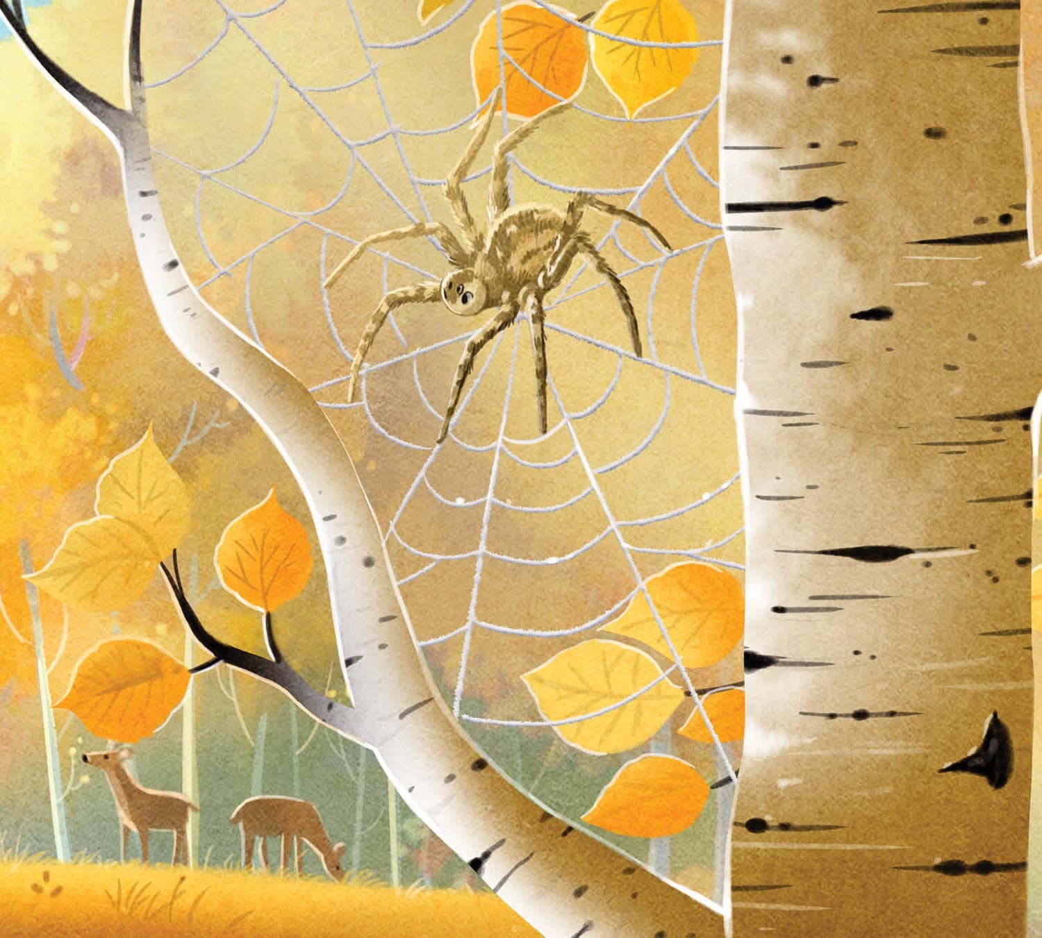 When You Go Into Nature Picture Book