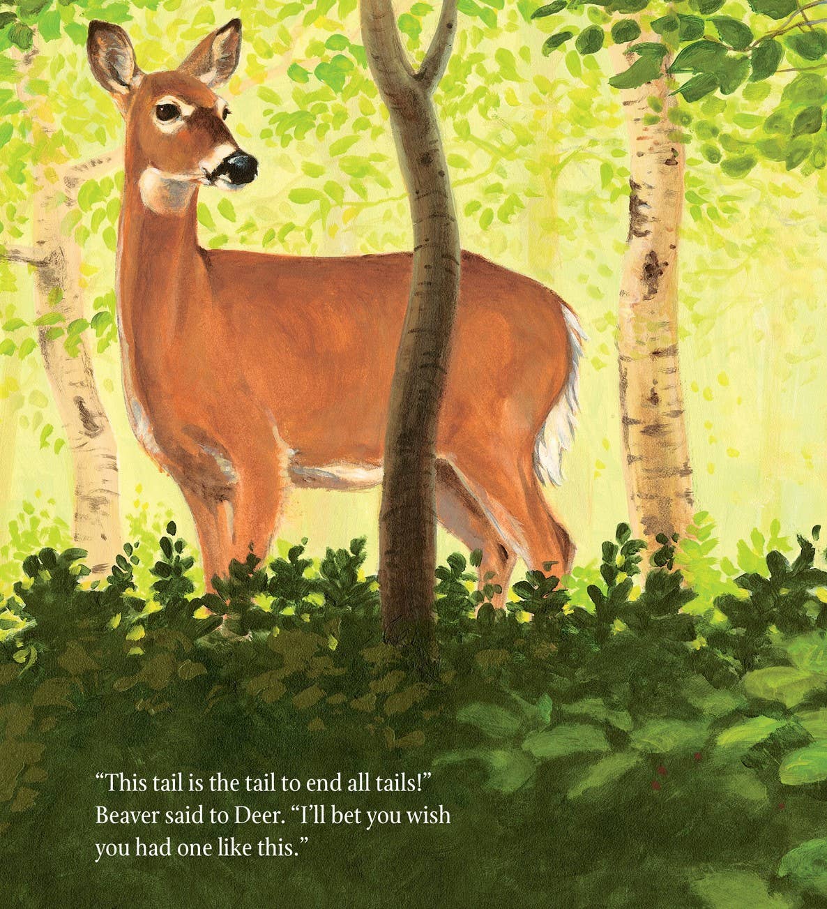 The Legend of the Beaver's Tail Picture Book