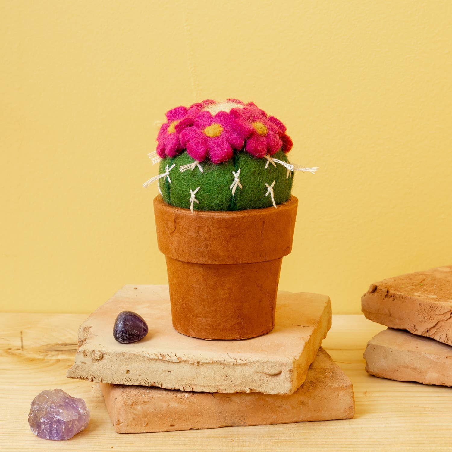Small Pincushion Cactus