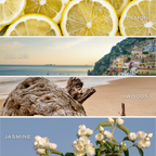 Coastal Lemon Reed Diffuser - Gifts & Home Decor