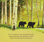 The Legend of Sleeping Bear Picture Book