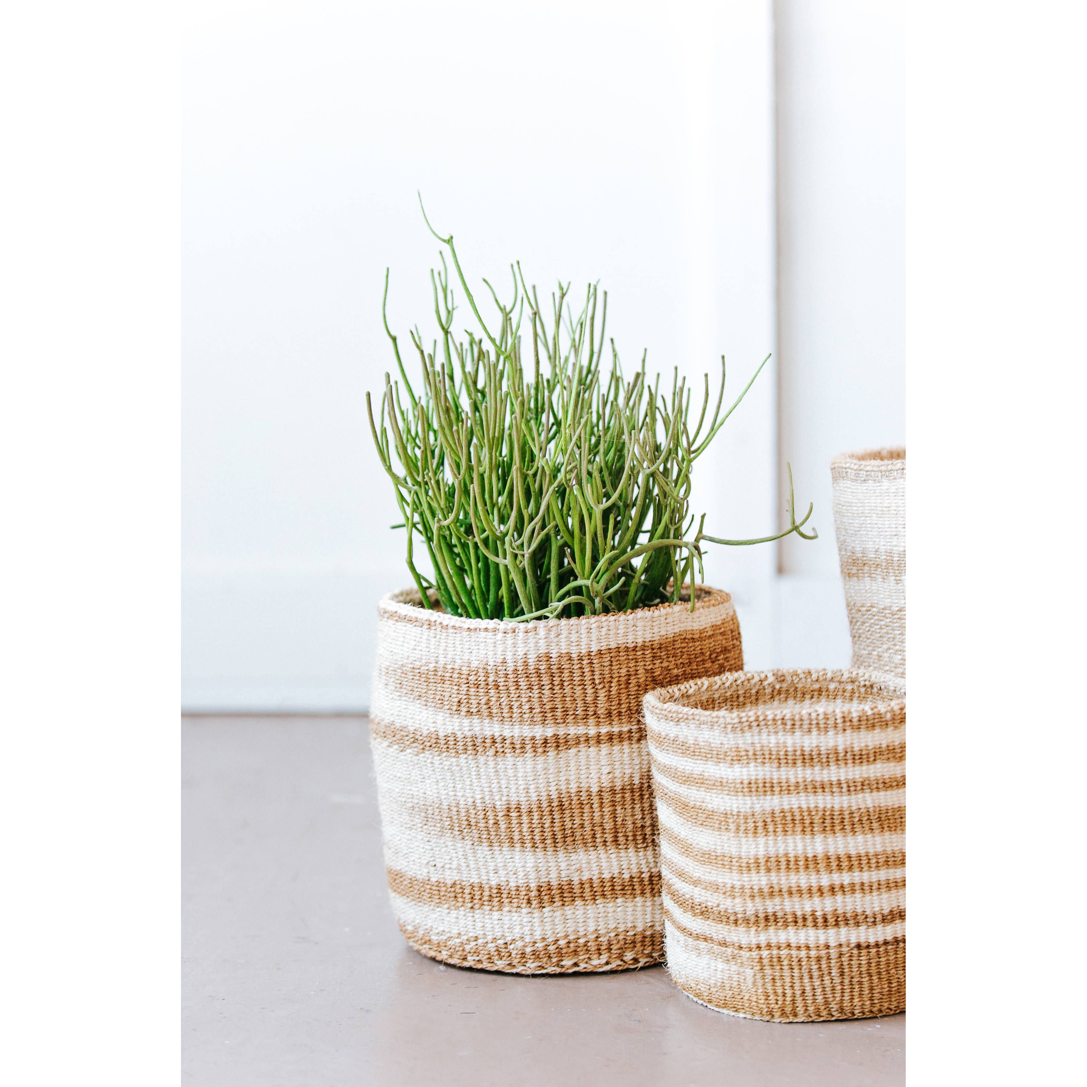 Storage Plant Basket: Smoke Swirl