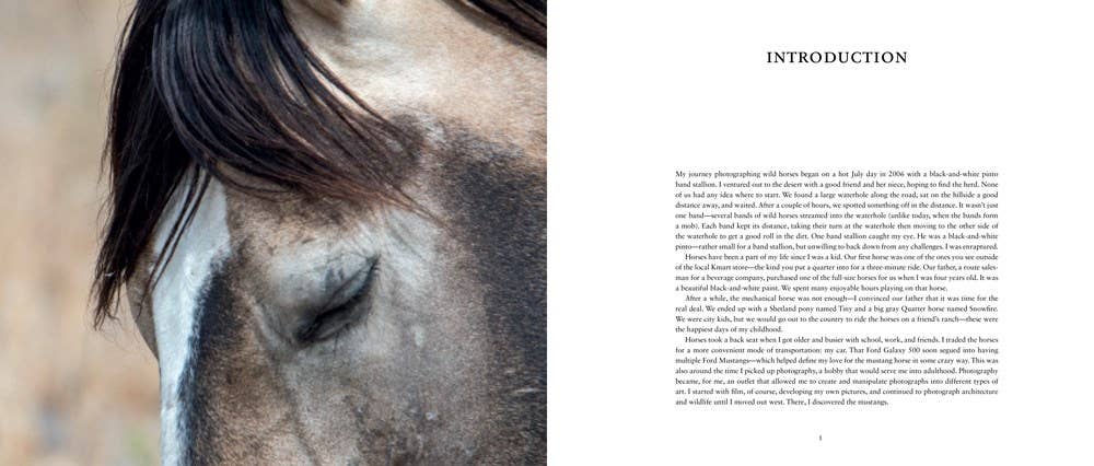 Wild Horses of the West : photography coffee table book