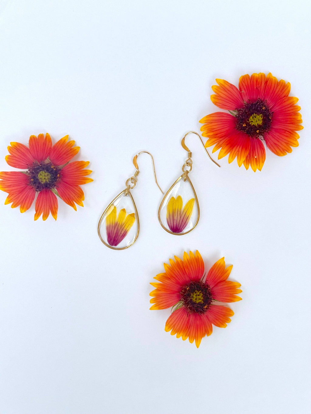 Texas Pressed Indian Blanket Flower Earrings