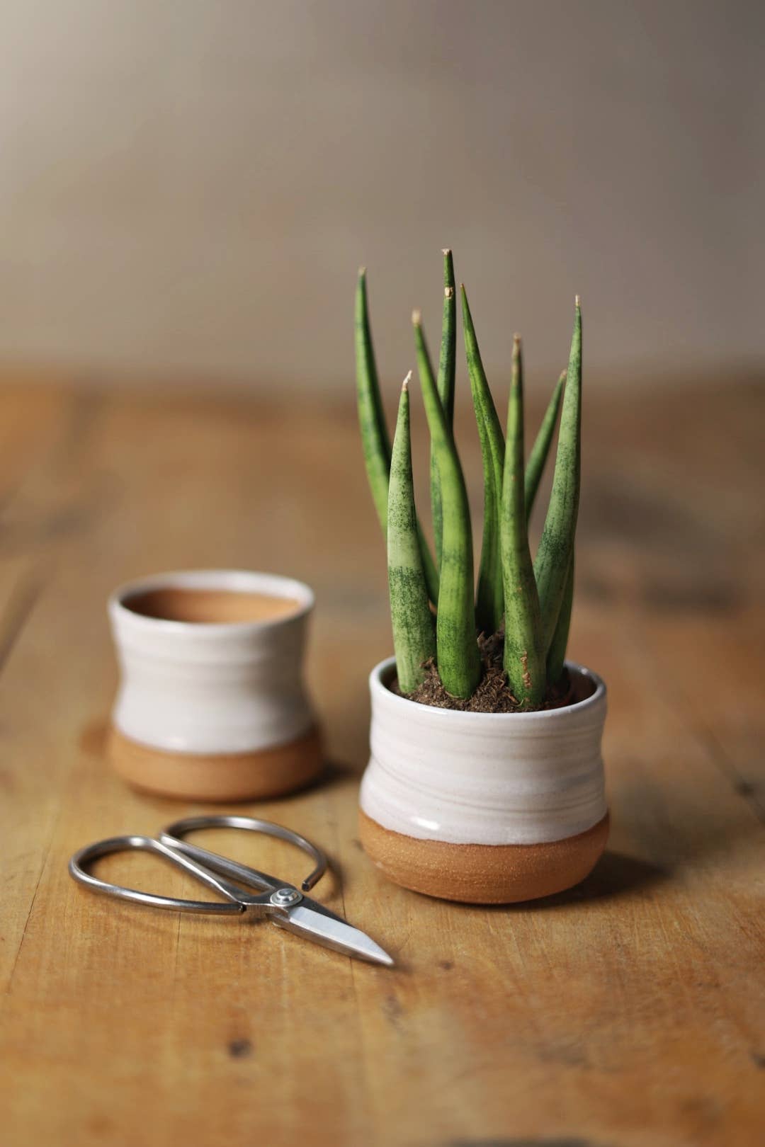 Assorted Small Planter Pots | White 2 inch handmade