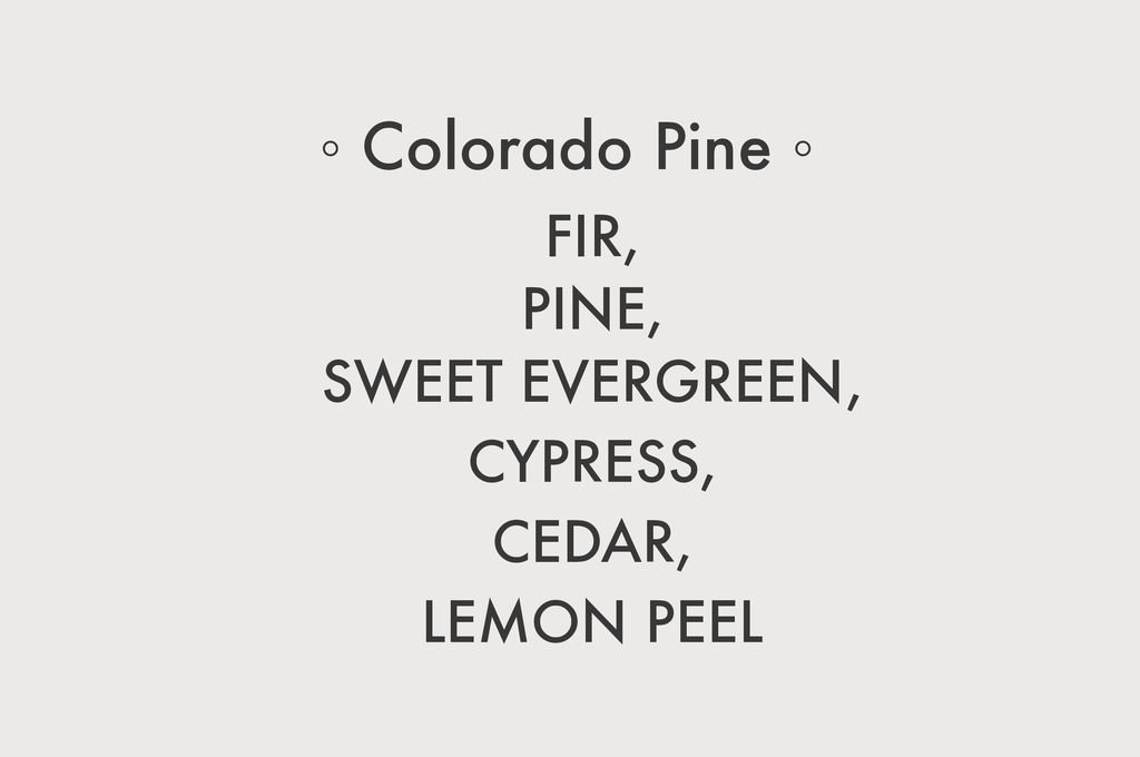 Colorado Pine - 8 oz Soy Candle