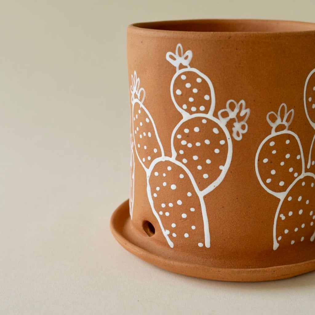 Opuntia Planter 