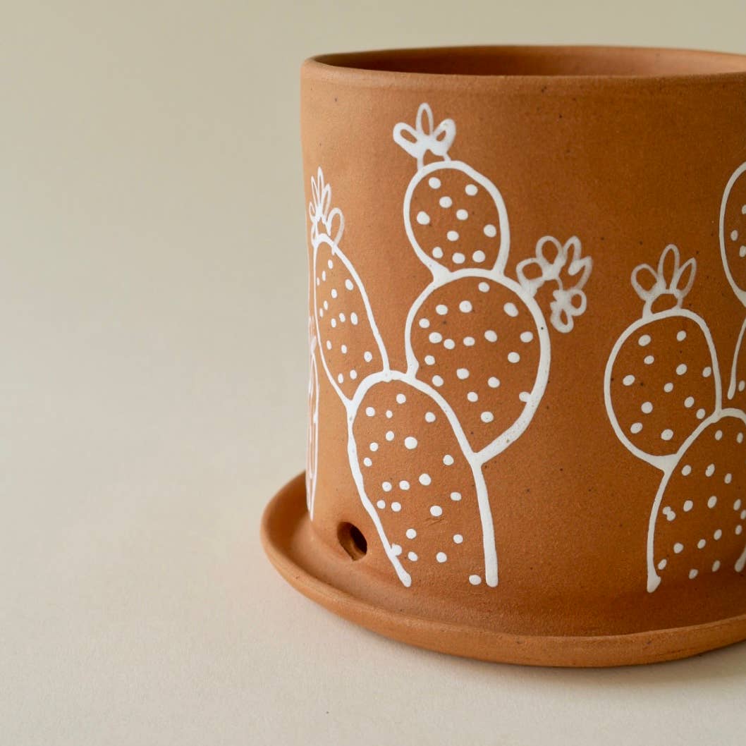 Opuntia Planter 