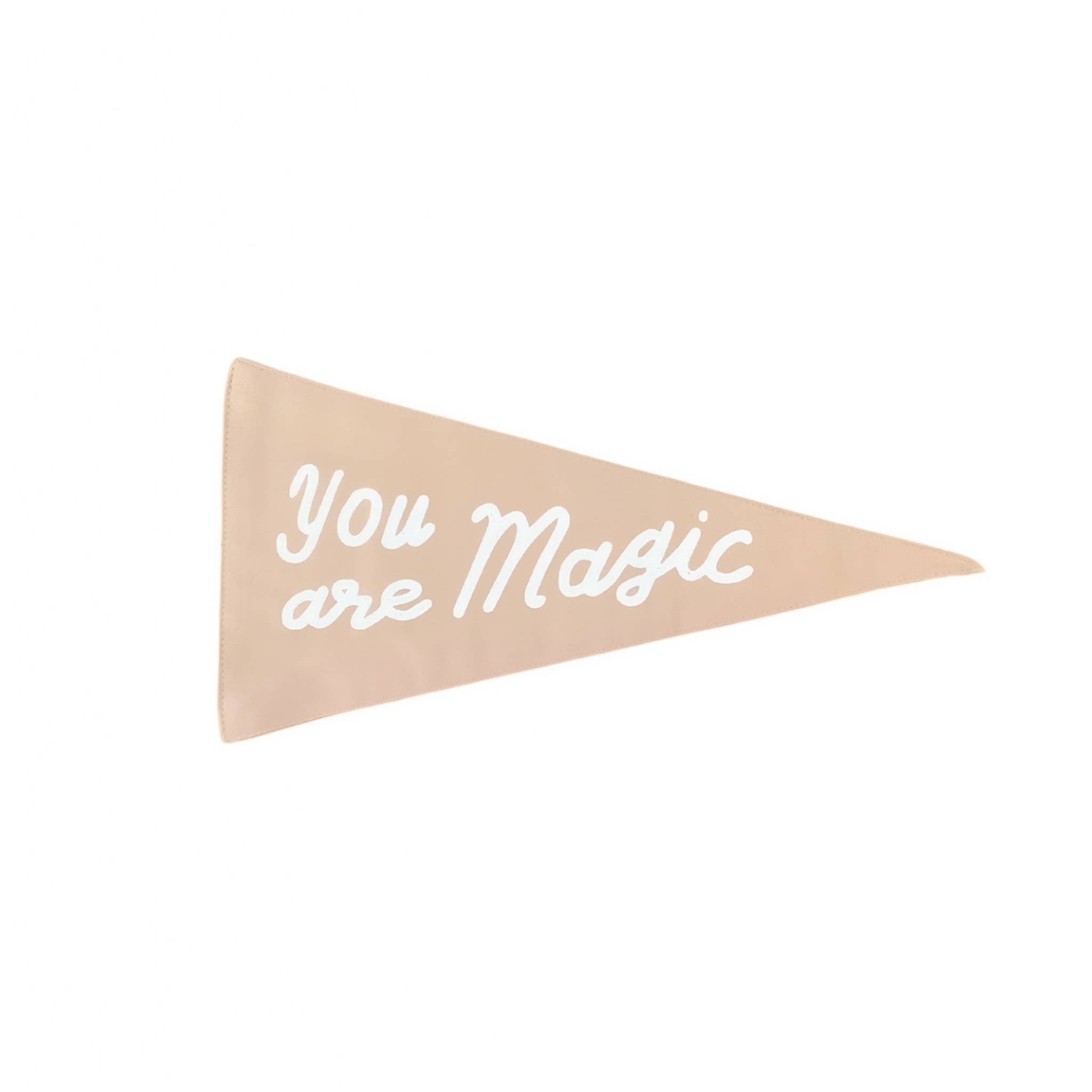 You are Magic Canvas Pennant