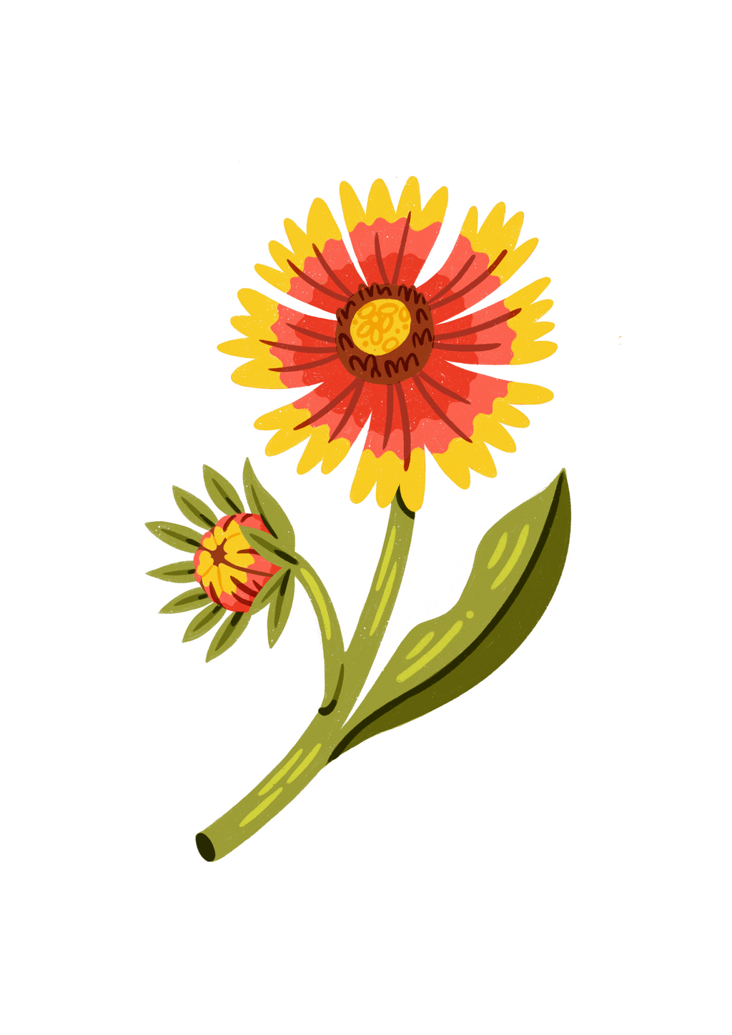Texas Pressed Indian Blanket Flower Earrings