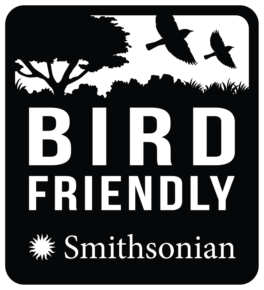 Wild Berry Dark Chocolate Bar - Certified Bird Friendly
