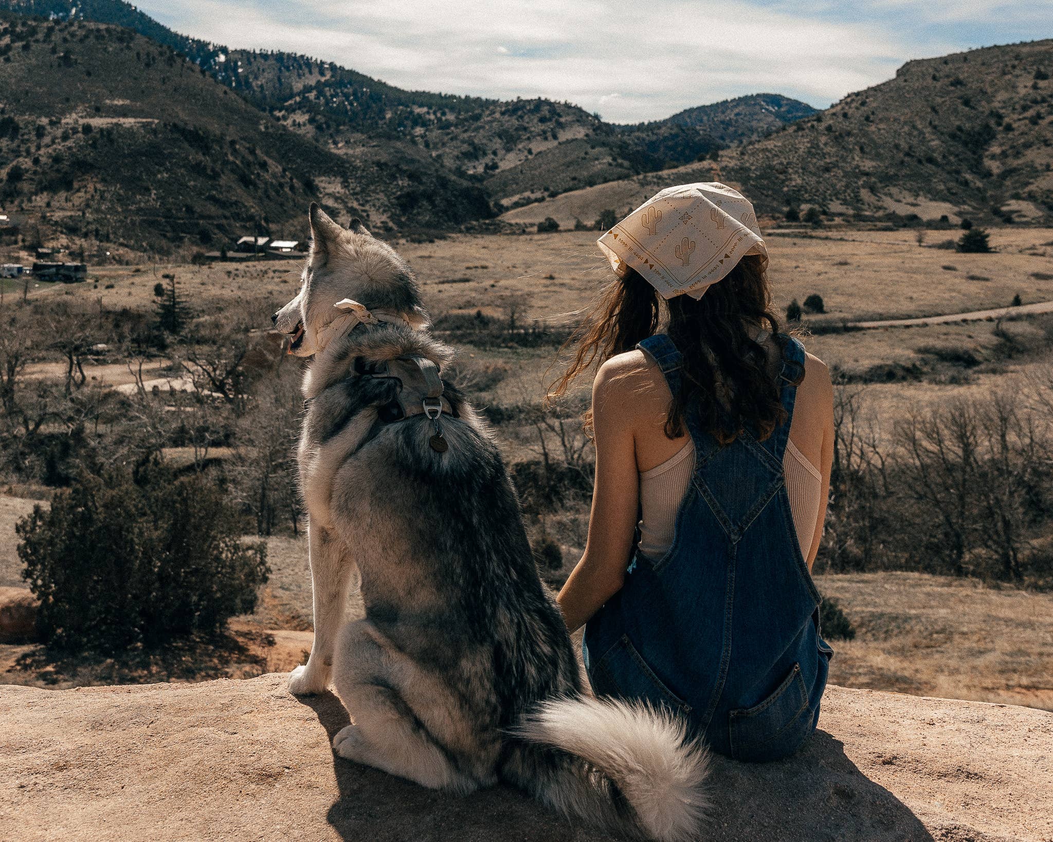 Stay Wild Dog Bandana