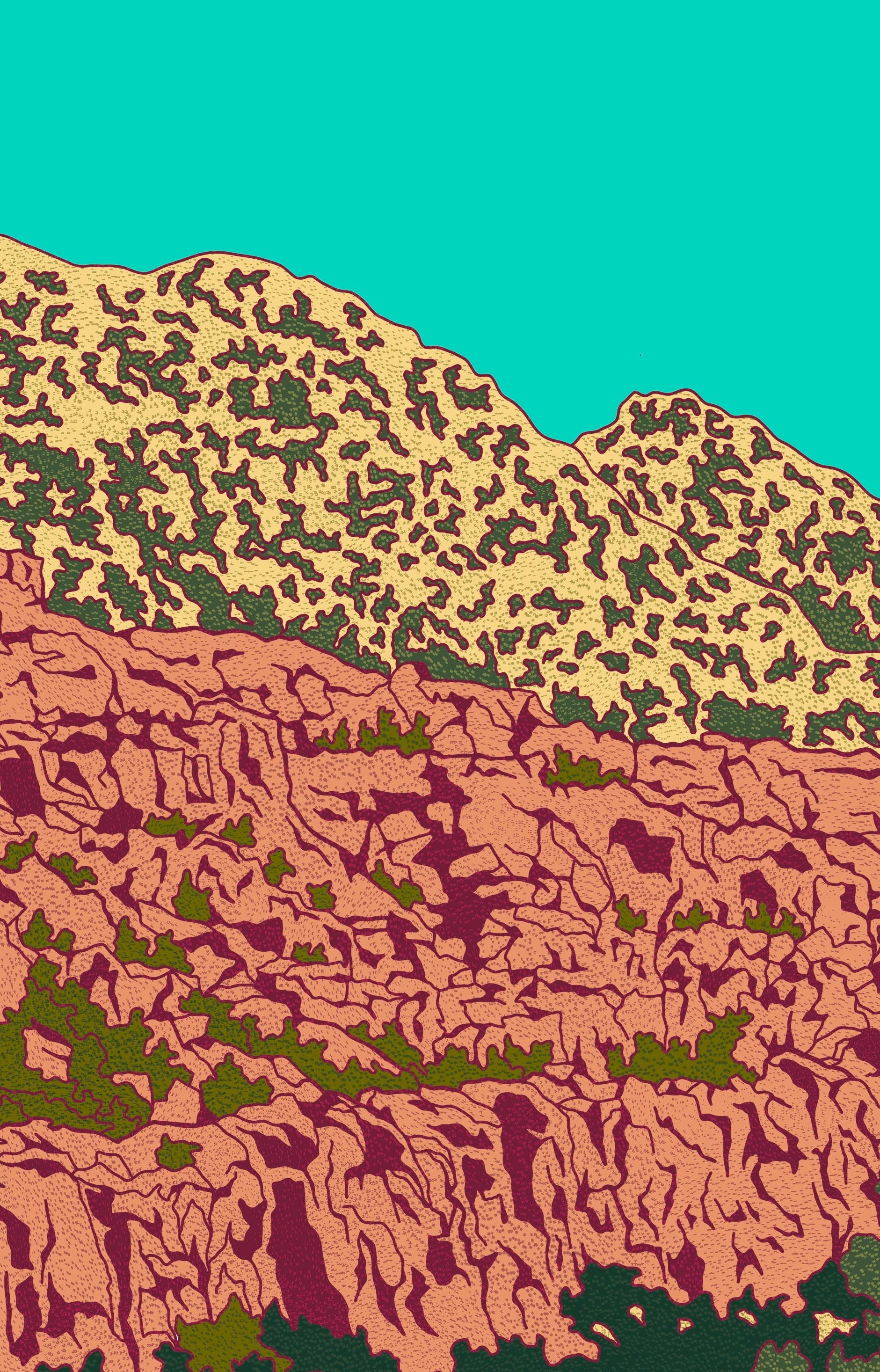 Dolores River Print