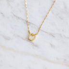Zircon Lucky Horseshoe Necklace