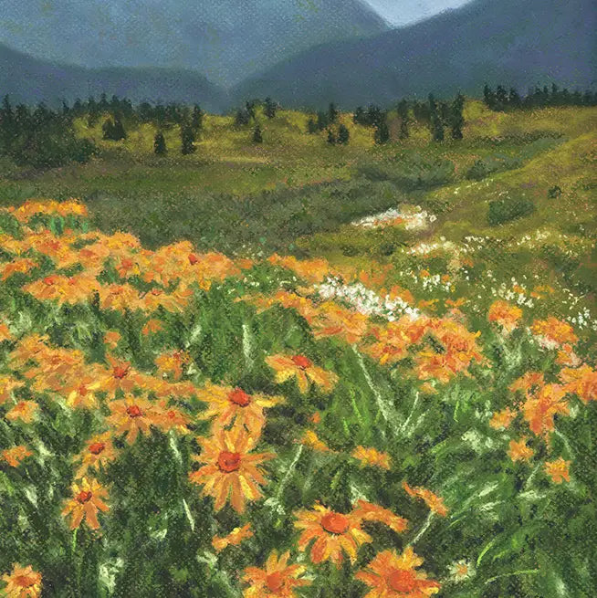 Sunflowers Mountains Molas Pass Silverton Colorado Art Print