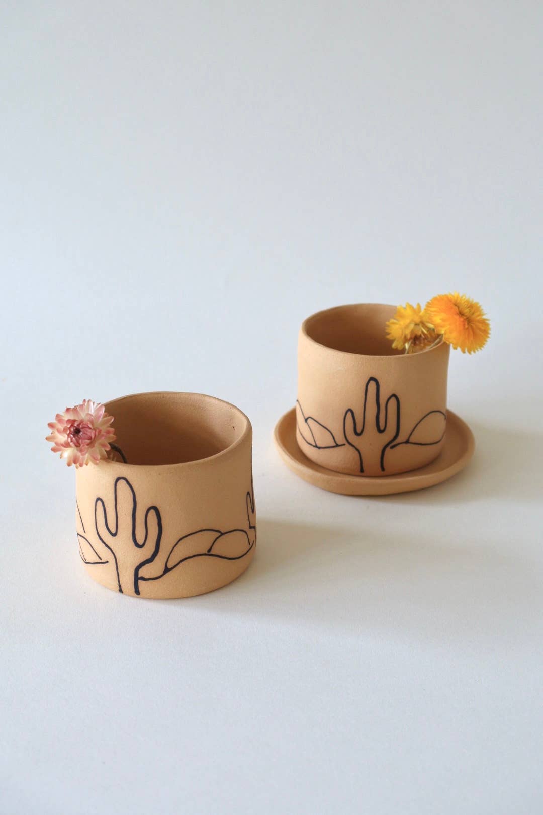 Desert Cacti Planter  