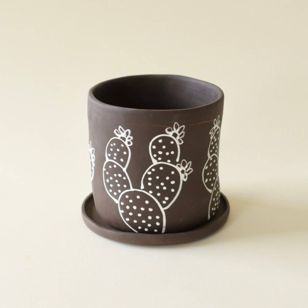 Opuntia Planter 