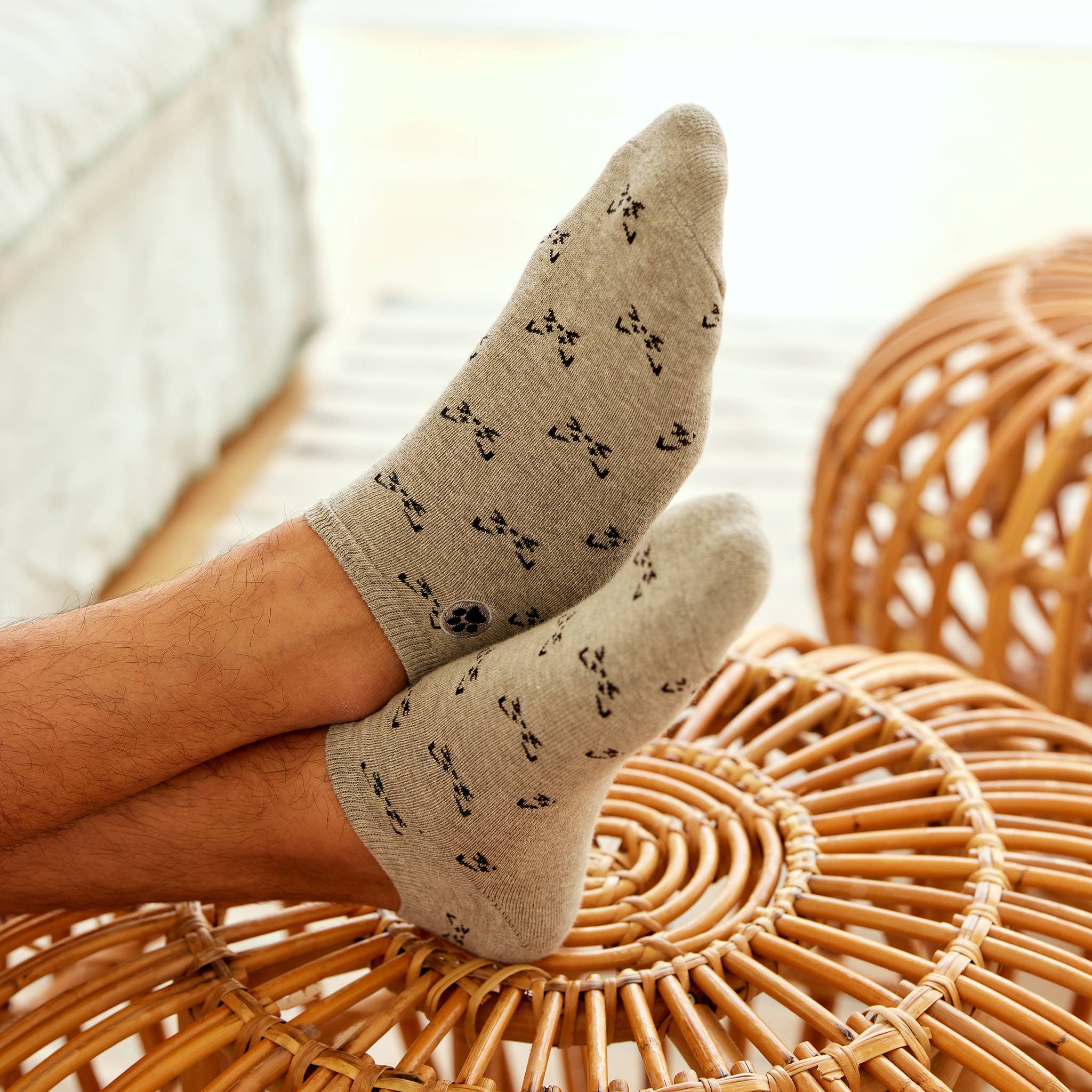 Ankle Socks that Save Cats (Gray Cats)